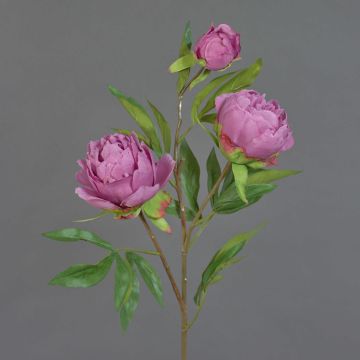 Konstgjord pionkvist MANJA, violett, 70cm, Ø8-10cm