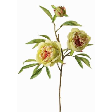 Konstgjord pionkvist MANJA, grön-cerise, 70cm, Ø8-10cm