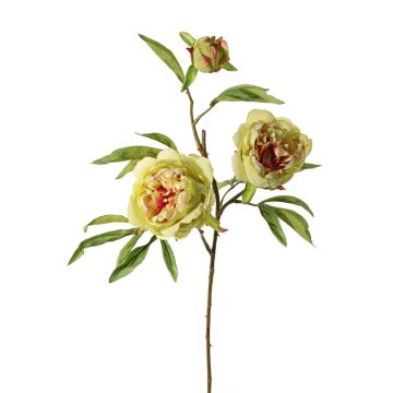 Konstgjord pionkvist MANJA, grön-cerise, 70cm, Ø8-10cm
