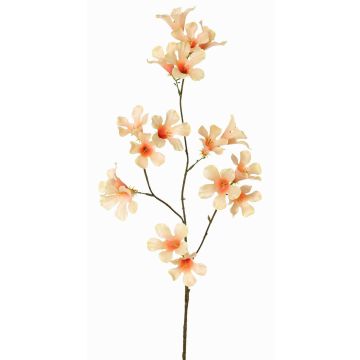 Konstgjord blomkvist, jasmintrumpet AURINA, persika, 90cm Konstgjord blomkvist, jasmintrumpet AURINA, persika, 90cm