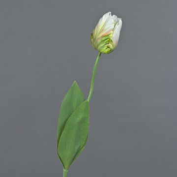 Konstgjord papegojatulpan UAKARI, vit-grön, 65cm, Ø6cm