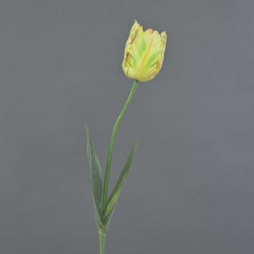 Konstblomma papegojatulpan UAKARI, gul-grön-cerise, 65cm, Ø6cm