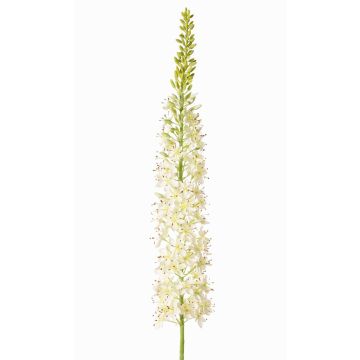 Stor konstgjord blomma, stäppljus SELINA, vit, 130cm, Ø9cm Stor konstgjord blomma, stäppljus SELINA, vit, 130cm, Ø9cm