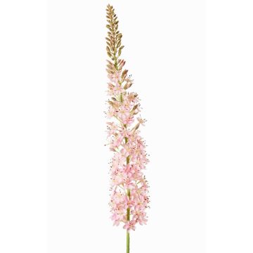 Stor konstblomma, stäppljus SELINA, ljusrosa, 130cm, Ø9cm Stor konstblomma, stäppljus SELINA, ljusrosa, 130cm, Ø9cm