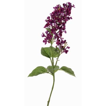 Dekorativ kvist, syren ADMIR, mörkvioletta, 80cm, Ø6-9cm Dekorativ kvist, syren ADMIR, mörkvioletta, 80cm, Ø6-9cm