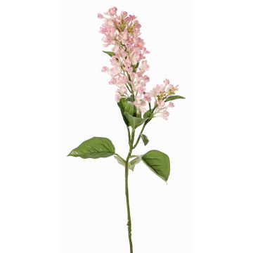 Dekorativ kvist av syren ADMIR, rosa-krämfärgad, 80cm, Ø6-9cm Dekorativ kvist av syren ADMIR, rosa-krämfärgad, 80cm, Ø6-9cm