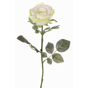 Konstgjord ros HUSA, vit-grön, 75cm, Ø10cm