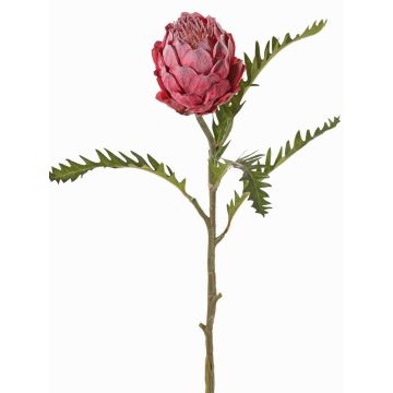 Konstgjord protea BREGANSA, gammaldagsrosa, antika cerise, 65cm, Ø7cm Konstgjord protea BREGANSA, gammaldagsrosa, antika cerise, 65cm, Ø7cm