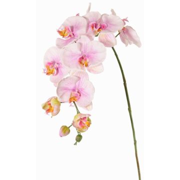 Dekorativ gren med Phalaenopsis-orkidé WESA, rosa-vit, 90cm, Ø11-12,5cm