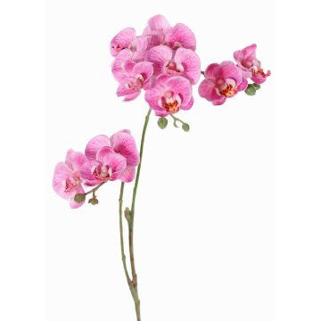 Konstgjord blomkvist, Phalaenopsis-orkidé VILLANI, rosa-cerise, 60cm, Ø3,5-5cm Konstgjord blomkvist, Phalaenopsis-orkidé VILLANI, rosa-cerise, 60cm, Ø3,5-5cm