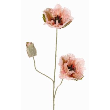 Dekorativ kvist med vallmo MODLING, rosa, 75cm, Ø12cm Dekorativ kvist med vallmo MODLING, rosa, 75cm, Ø12cm