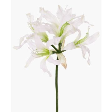 Konstgjord blomma trädgårdsamaryllis KUSTANA, vit-grön, 70cm, Ø10-16cm Konstgjord blomma trädgårdsamaryllis KUSTANA, vit-grön, 70cm, Ø10-16cm