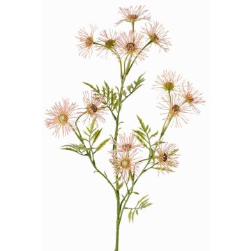 Konstgjord prästkrage KORNELA, ljusrosa, 70cm, Ø6cm Konstgjord prästkrage KORNELA, ljusrosa, 70cm, Ø6cm