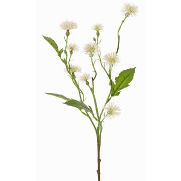 Konstgjord ängsflockblomma HOLLA, vit, 55cm, Ø3-4cm Konstgjord ängsflockblomma HOLLA, vit, 55cm, Ø3-4cm