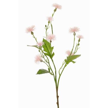 Konstgjord ängsflockblomma HOLLA, blekrosa, 55cm, Ø3-4cm Konstgjord ängsflockblomma HOLLA, blekrosa, 55cm, Ø3-4cm