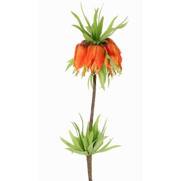 Konstblomma kejsarkrona IMST, orange, 65cm, Ø11cm Konstblomma kejsarkrona IMST, orange, 65cm, Ø11cm