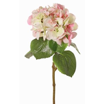 Konstgjord hortensia CHIDORI, krämfärgad-cerise-grön, 60cm, Ø18cm Konstgjord hortensia CHIDORI, krämfärgad-cerise-grön, 60cm, Ø18cm