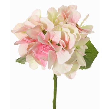Konstgjord hortensia CHIDORI, krämfärgad-cerise-grön, 30cm, Ø13cm