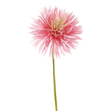 Konstgjord krysantemum NANDITA, rosa-krämfärgad, 60cm, Ø15cm