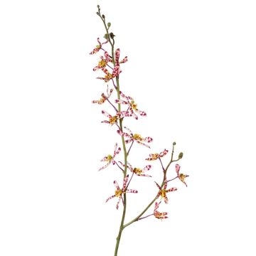 Konstgjord Cattleya-orkidégren TRASSA, violett-vit-gul, 80cm, Ø4-8cm Konstgjord Cattleya-orkidégren TRASSA, violett-vit-gul, 80cm, Ø4-8cm