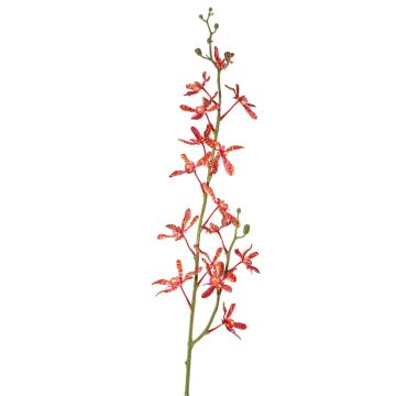 Konstgjord Cattleya-orkidégren TRASSA, röd-orange, 80cm, Ø4-8cm Konstgjord Cattleya-orkidégren TRASSA, röd-orange, 80cm, Ø4-8cm