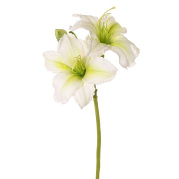Konstgjord daglilja NEULIDA med blommor, vit-grön, 65cm, Ø11cm Konstgjord daglilja NEULIDA med blommor, vit-grön, 65cm, Ø11cm