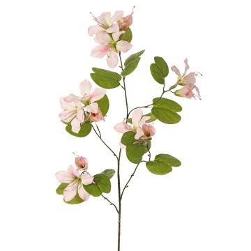 Konstgjord blomkvist Bauhinia ENSANA, blekrosa, 120cm Konstgjord blomkvist Bauhinia ENSANA, blekrosa, 120cm