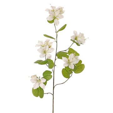 Konstgjord blomkvist Bauhinia ENSANA, vit, 120cm Konstgjord blomkvist Bauhinia ENSANA, vit, 120cm