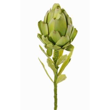 Textilblomma, kronärtskocka JENBALA, grön, 35cm, Ø7cm Textilblomma, kronärtskocka JENBALA, grön, 35cm, Ø7cm