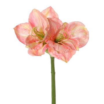 Konstgjord amaryllis NARWELA, cerise-rosa-grön, 70cm, Ø10-13cm Konstgjord amaryllis NARWELA, cerise-rosa-grön, 70cm, Ø10-13cm