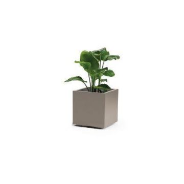 Fyrkantig blomkruka NASTASJA av återvunnen plast, med vattenbehållare, hjul, taupe, 39,5x39,5x38cm, 35L