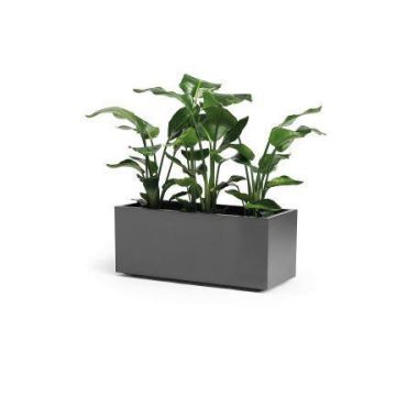 Rektangulär blomlåda NASTASJA av återvunnen plast, med vattenbehållare, hjul, antracit, 99,5x39,5x38cm, 102L