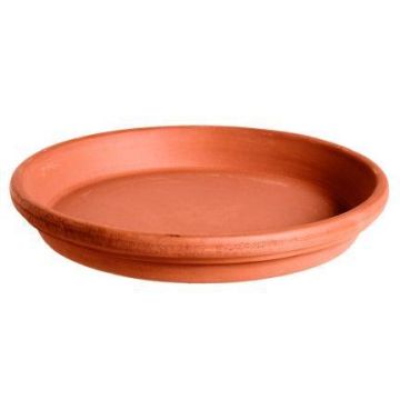 Rund blomkruka med underlägg MYLIN i terrakotta, 4,8cm, Ø35,9cm