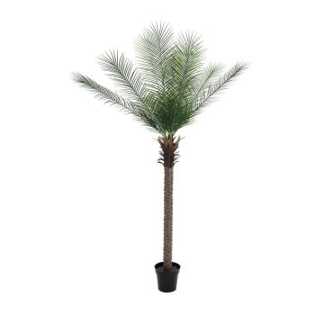 Konstgjord dadelpalm NEVANA, crossdoor, 220cm Konstgjord dadelpalm NEVANA, crossdoor, 220cm