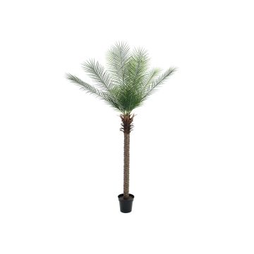 Konstgjord dadelpalm NEVANA, crossdoor, 220cm Konstgjord dadelpalm NEVANA, crossdoor, 220cm