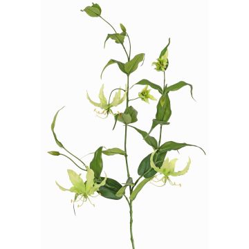 Konstgjord segerkronblomma KINTARO, grön, 120cm Konstgjord segerkronblomma KINTARO, grön, 120cm
