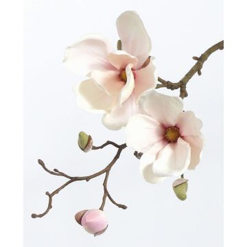 Konstgjord magnoliagren MALBINE, vit-rosa, 50cm, Ø7-10cm Konstgjord magnoliagren MALBINE, vit-rosa, 50cm, Ø7-10cm