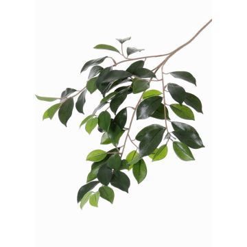 Konstgjord ficus microcarpa-gren BHAO, 65cm Konstgjord ficus microcarpa-gren BHAO, 65cm