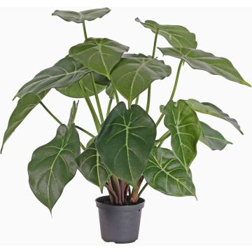 Konstväxt Syngonium PERAMI, grön, 45cm Konstväxt Syngonium PERAMI, grön, 45cm