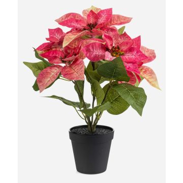 Konstgjord julstjärna GRULEN i dekorativ kruka, rosa, 40cm Konstgjord julstjärna GRULEN i dekorativ kruka, rosa, 40cm