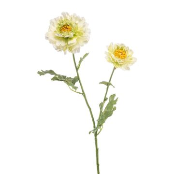 Dekorationsblomma ranunkel LOLYN, grön-krämfärgad, 65cm Dekorationsblomma ranunkel LOLYN, grön-krämfärgad, 65cm
