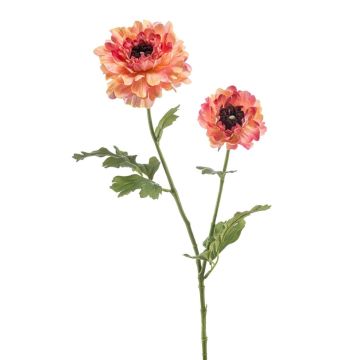 Dekorationsblomma ranunkel LOLYN, persikorosa, 65cm Dekorationsblomma ranunkel LOLYN, persikorosa, 65cm