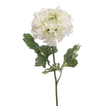 Konstgjord ranunkel ULISAN, krämgrön, 60cm, Ø14cm Konstgjord ranunkel ULISAN, krämgrön, 60cm, Ø14cm