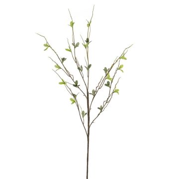 Konstgjord björkkvist SIVANI, grön, 90cm Konstgjord björkkvist SIVANI, grön, 90cm