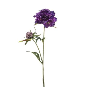 Konstgjord kvist av skabiosa BASOLO, mörkvioletta, 55cm Konstgjord kvist av skabiosa BASOLO, mörkvioletta, 55cm