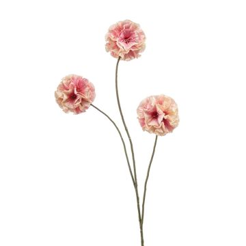 Konstgjord stjärna Scabiosa DESIRIO, persikrosa, 75cm Konstgjord stjärna Scabiosa DESIRIO, persikrosa, 75cm