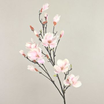 Konstgjord magnoliagren YONA, vit-rosa, 130cm, Ø5-15cm Konstgjord magnoliagren YONA, vit-rosa, 130cm, Ø5-15cm