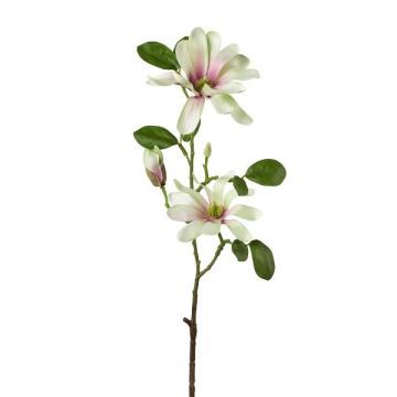 Konstgjord stjärnmagnoliagren BLOVI, ljusgrön, 60cm Konstgjord stjärnmagnoliagren BLOVI, ljusgrön, 60cm