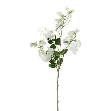 Konstgjord gren av Lathyrus latifolius PLENVO, vit, 75cm Konstgjord gren av Lathyrus latifolius PLENVO, vit, 75cm
