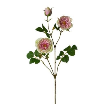 Konstgjord blomstergren med pion KROVEL, grön-rosa, 75cm